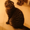 人間大好き！超甘えん坊の寂しがり屋 サムネイル5