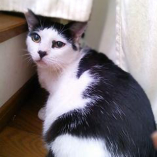 ご縁待ってます (^人^)気が小さい甘えん坊未来君