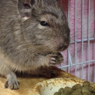 ありがとうございます＼(^o^)／