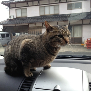お願いします