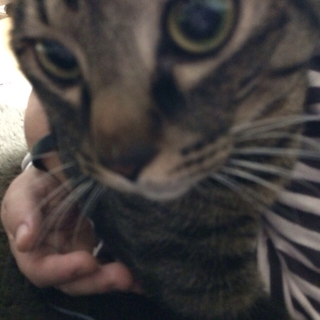 おっとりな男の子