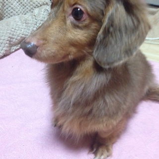 ありがとうございました★