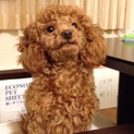 お迎え待ってまーす（≧∇≦）