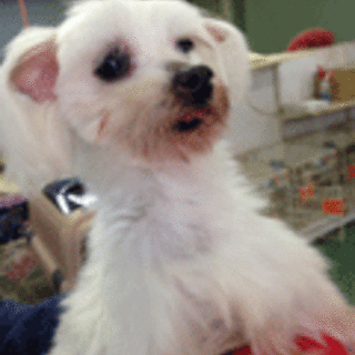 幸せにして欲しいです！