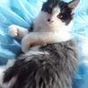仮名　てんてん サムネイル4