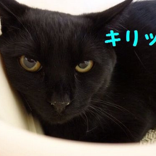 保護主さんのおうちへ行きました。