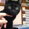 美声☆小顔のじじちゃん★