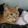 助けてくたさい！ サムネイル4