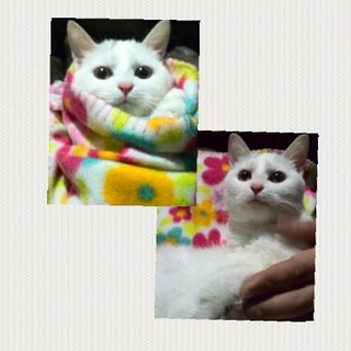 ありがとうございました(*´ω｀*)