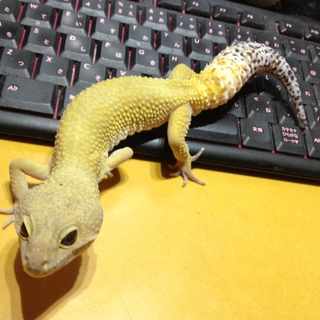 たくさんのご応募ありがとうございました
