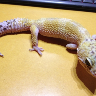 たくさんのご応募ありがとうございました