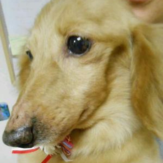 【ニケ】臆病ですが、人が好きです。