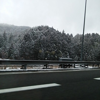 素敵な里親様が決まりました。