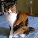 みるちゃんの家族が決まりました。