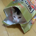 甘えん坊です！