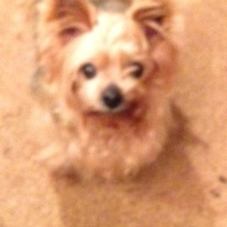かわいいお婆ちゃんです　キララちゃん