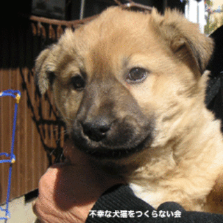 まるまるです！