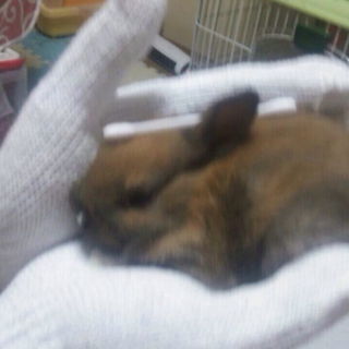急募です‼︎よろしくお願いします。
