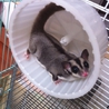 ありがとうございました！ サムネイル1