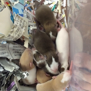 たくさんのご連絡を頂きありがとうございました！