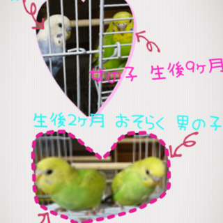 とても素敵な里親さんに出逢えました‼︎