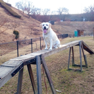 助けてください‼︎