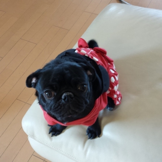 良縁に恵まれました