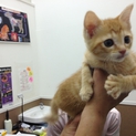 可愛いおチビちゃん達