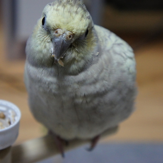 たくさんのご応募ありがとうございました!