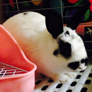 希望する方には飼育セットも差し上げます♪
