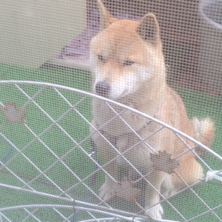 ありがとうございました