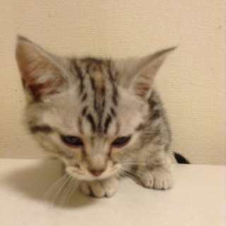 たくさんのお問い合わせありがとうございました。