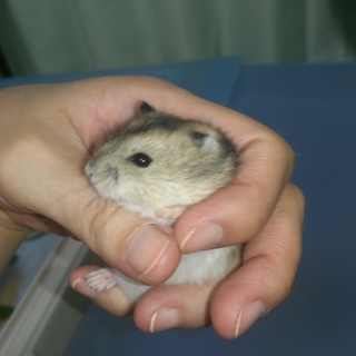 たくさんのご応募ありがとうございました！