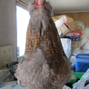 【至急】ニワトリ　アローカナ（交雑種）　雄 サムネイル5