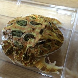 多数のご応募ありがとうございました。