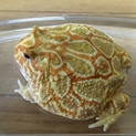 多数のご応募ありがとうございました。