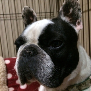 募集終了です。ありがとうございました。