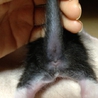 可愛い赤ちゃん産まれました♡ サムネイル3