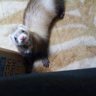 たくさんのご応募ありがとうございました！