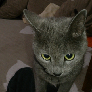 お問い合わせ下さった皆様ありがとうございました