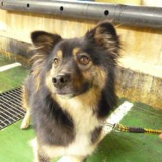 団体さんが引き出しました^^