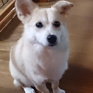素敵な家族に出会えました！ありがとうございます。