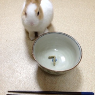 終生飼育をお願いします！