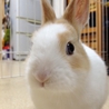 終生飼育をお願いします！ サムネイル3
