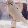  素晴らしい里親さまに出会えました！