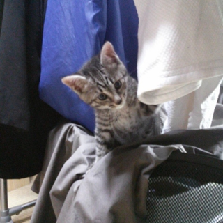 ありがとうございました。
