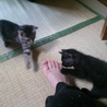 ありがとうございました。 サムネイル6