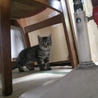 ありがとうございました。 サムネイル5