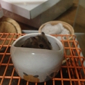 ありがとうございました。