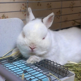 ありがとうございました